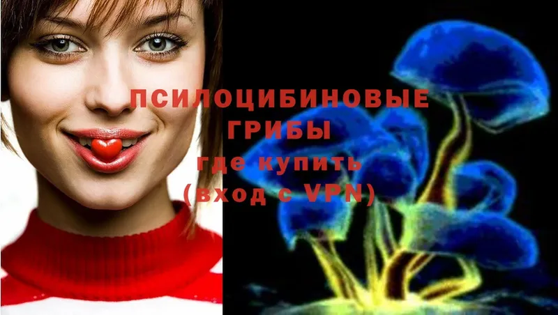 Псилоцибиновые грибы Psilocybe  Ишимбай 